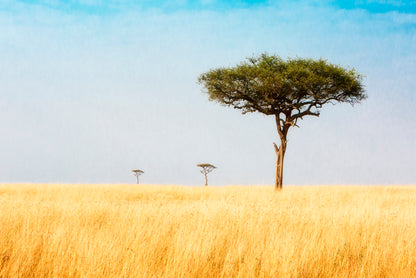 Trees in Grasslands of Kenya Africa Home Decor Premium Quality Poster Print Choose Your Sizes