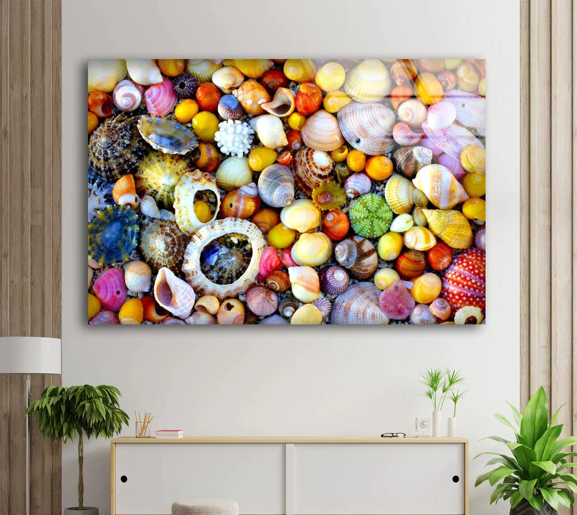 Colorful Sea Shells UV Direct Aluminum Print Australian Made Quality