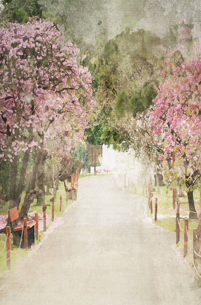 Pink Cherry Blossom Park Path 60x90cm Metal Print Ready to Hang
