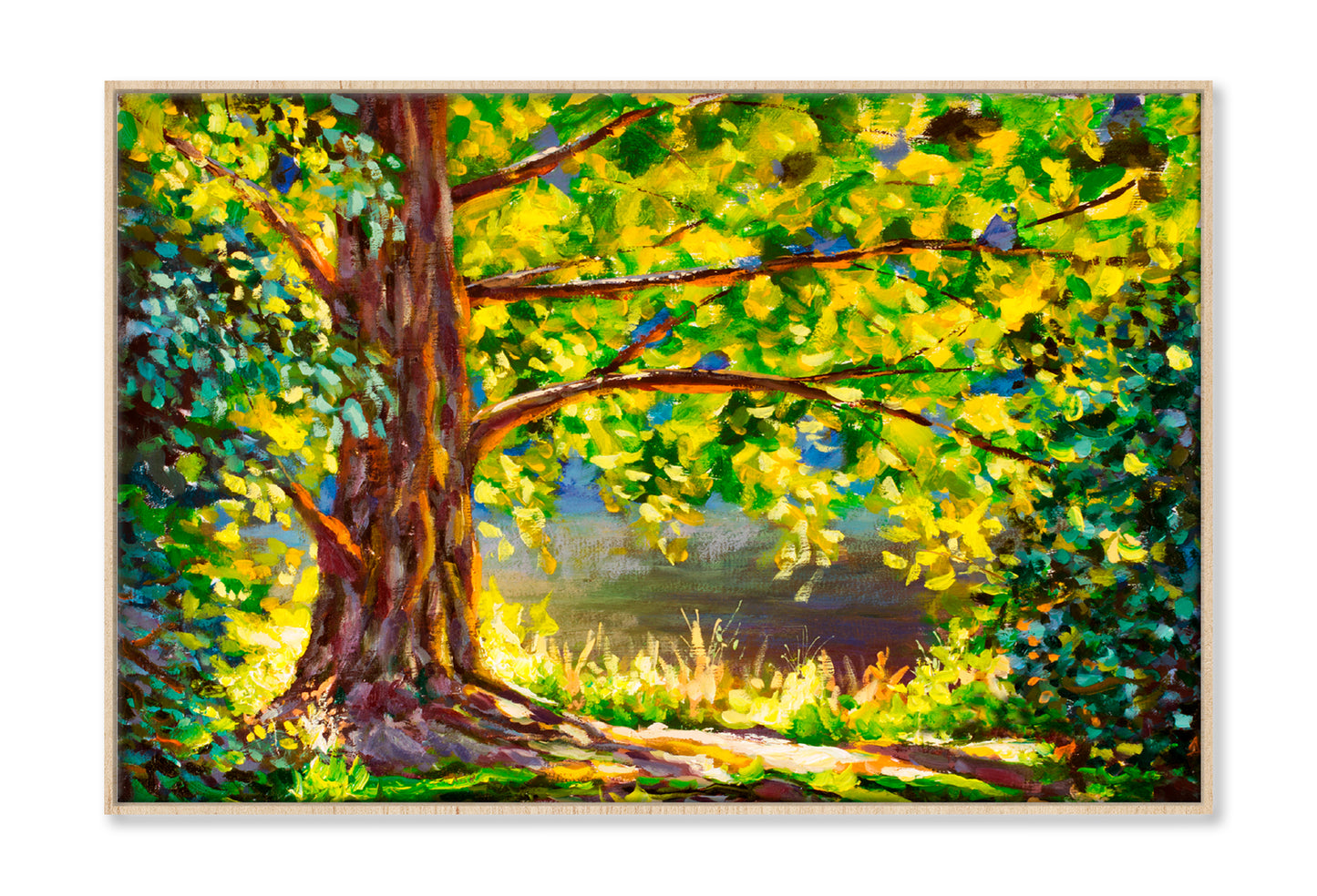 A Large Tree Lit By Sun & Sunny Forest Oil Painting Limited Edition High Quality Print Canvas Box Framed Natural