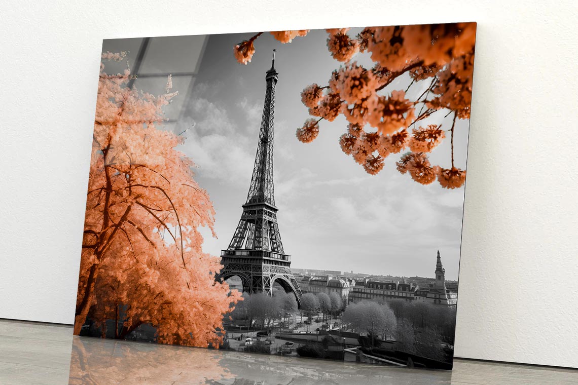 Black Peach Eiffel Tower Acrylic Glass Print Tempered Glass Wall Art 100% Made in Australia Ready to Hang