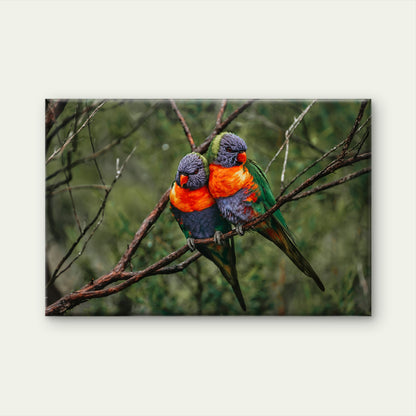 Rainbow Lorikeet Northern Queensland Wall Art Decor 100% Australian Made