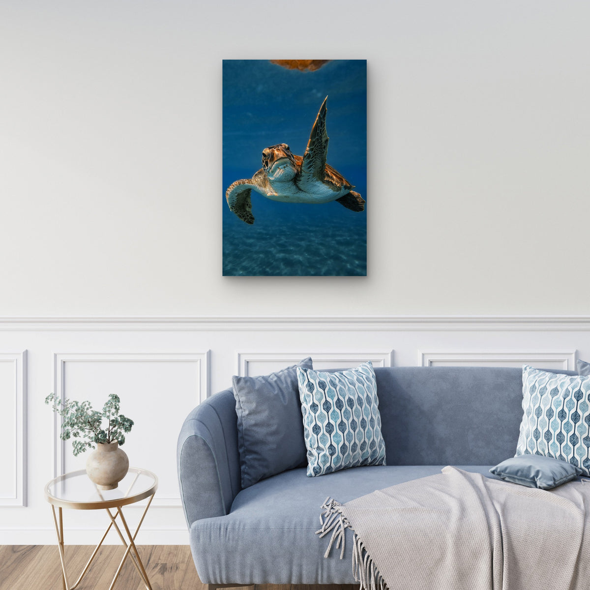 Green Sea Turtle Swimming In The Ocean 60x90cm Metal Print Ready to Hang