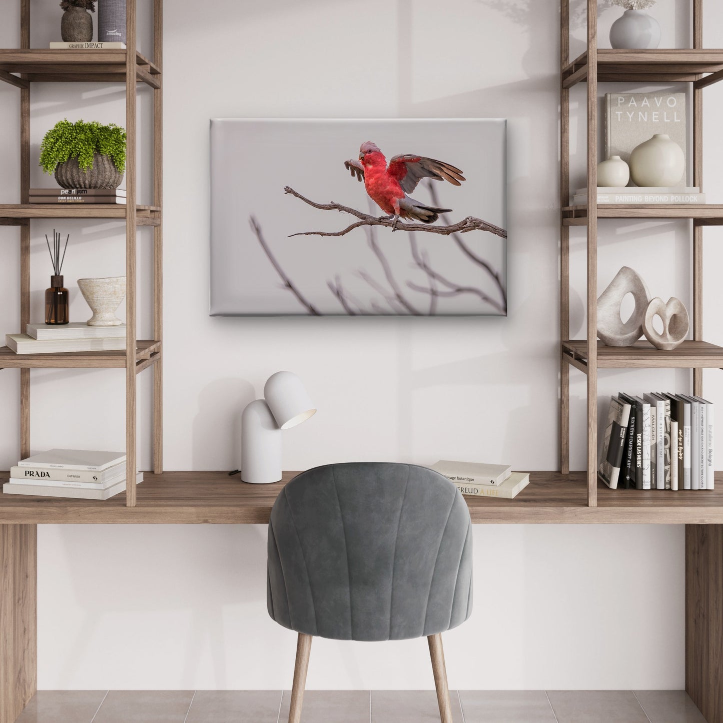 Galah Australia Wings Out Wall Art Decor 100% Australian Made