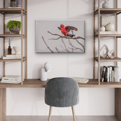Galah Australia Wings Out Wall Art Decor 100% Australian Made