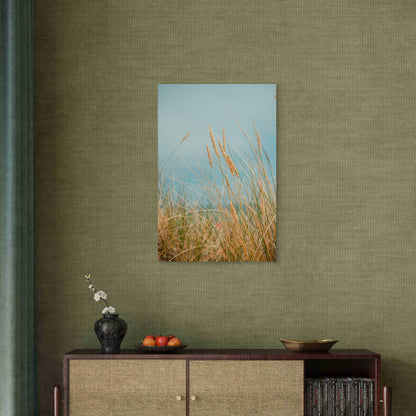 Marram Grass In Coastal Sand Dunes 60x90cm Metal Print Ready to Hang