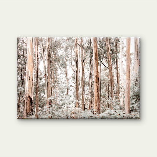 Pastel Colored Gum Tree Forest  Wall Art Decor 100% Australian Made