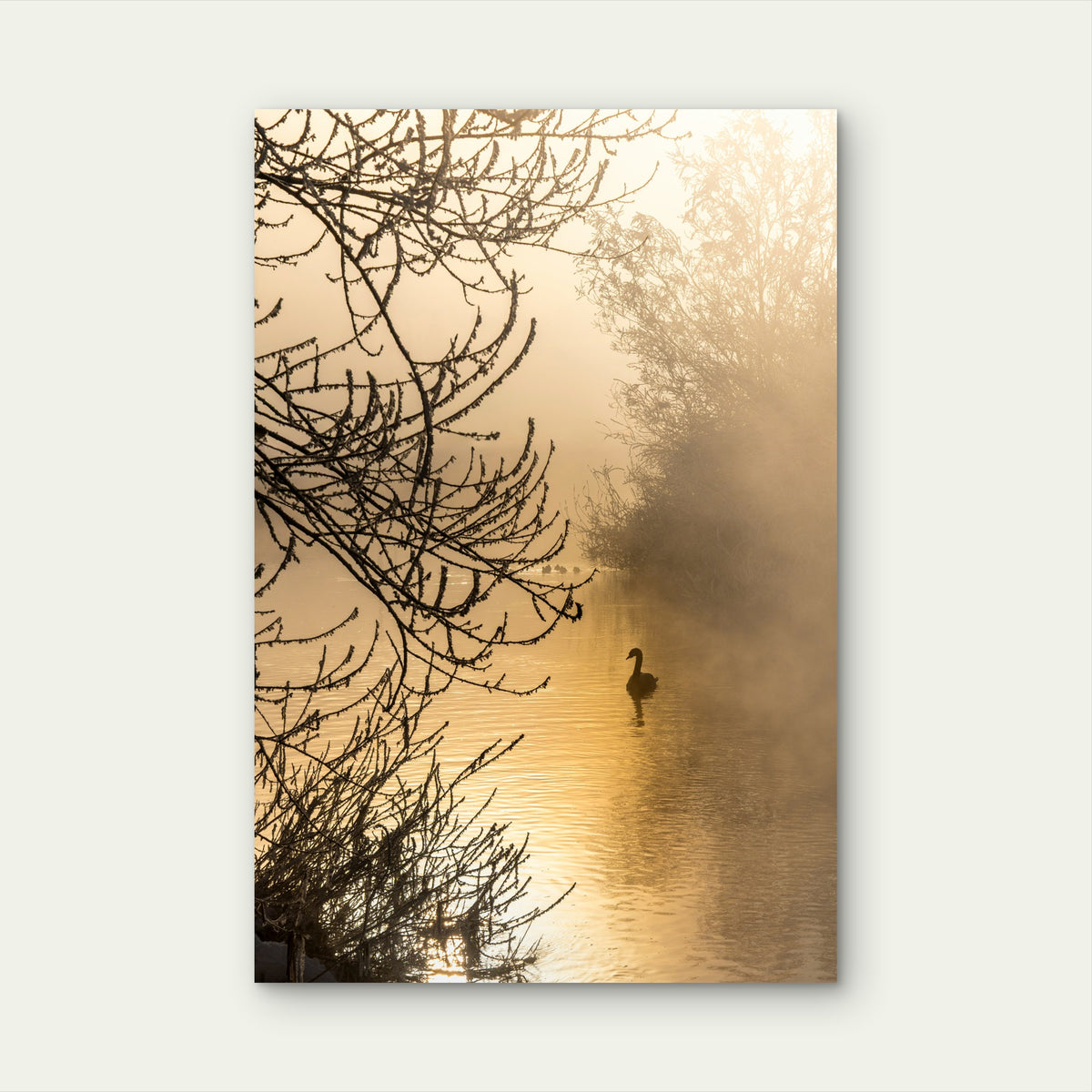 Serene Frosty Sunrise over Misty River 60x90cm Metal Print Ready to Hang