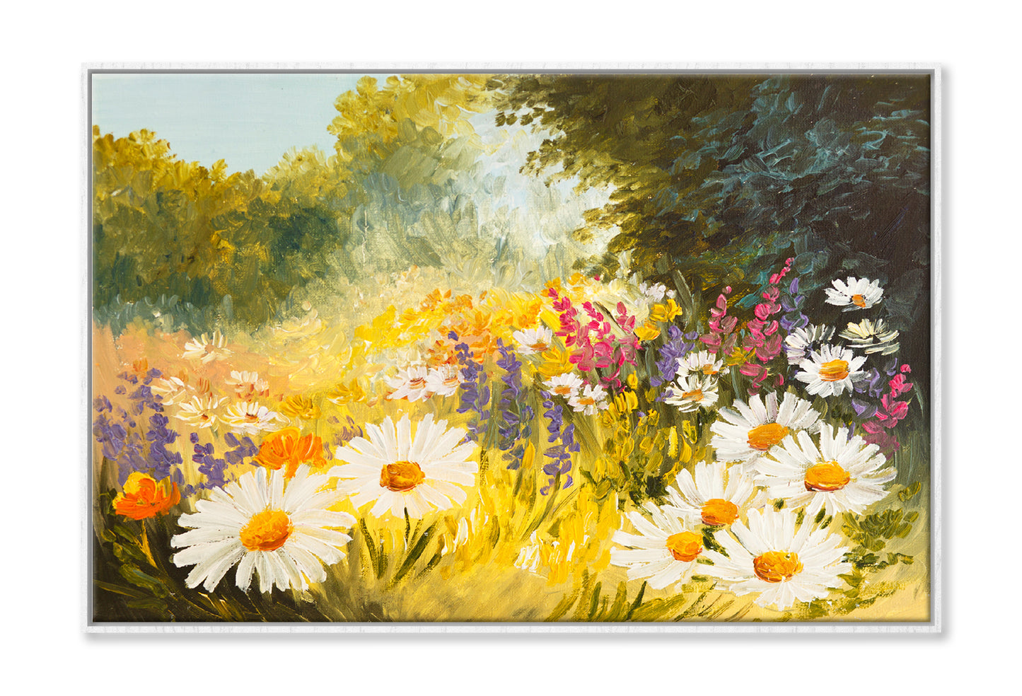 Field Of Daisies Green Forest Oil Painting Limited Edition High Quality Print Canvas Box Framed White