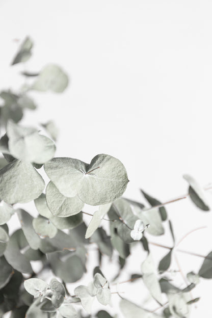 Tropical Leaves Faded Closeup Photograph Glass Framed Wall Art, Ready to Hang Quality Print