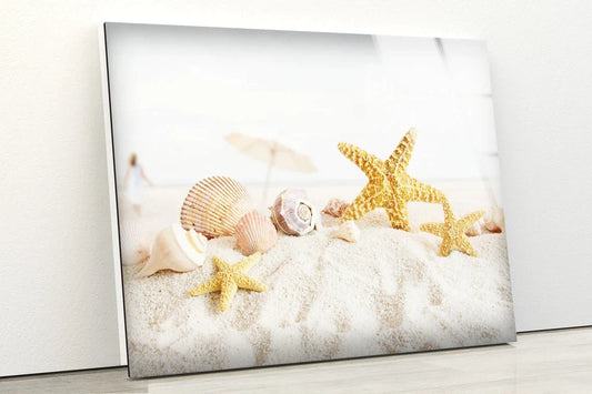 Sea Shells on Sand Sea UV Direct Aluminum Print Australian Made Quality