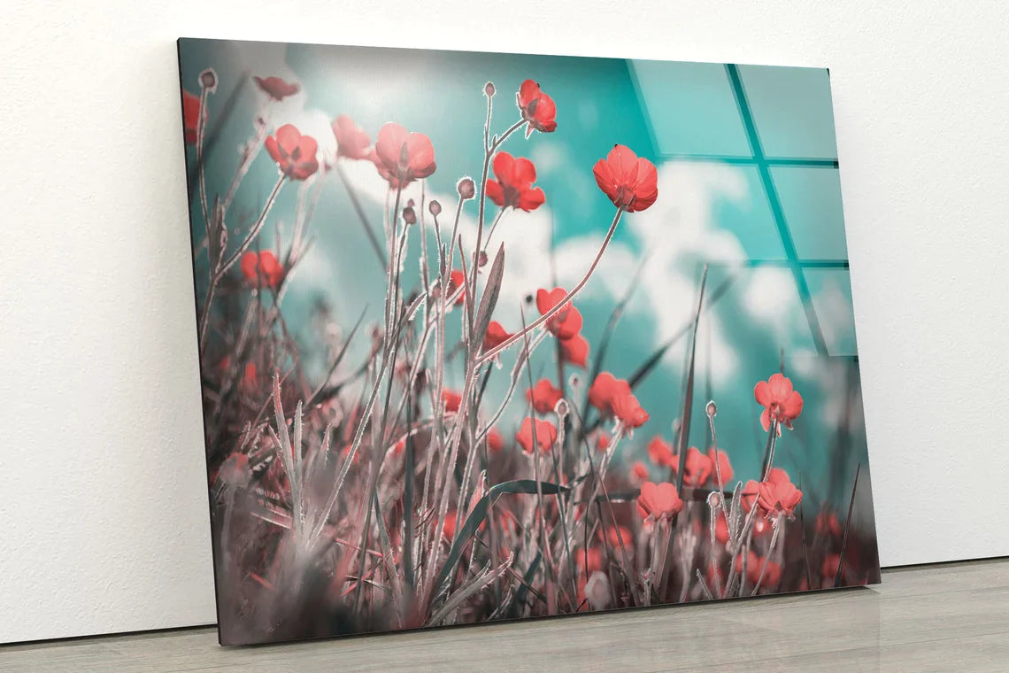 Flower Field & Sky UV Direct Aluminum Print Australian Made Quality