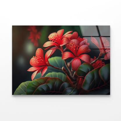 Red Tropical Flowers Acrylic Glass Print Tempered Glass Wall Art 100% Made in Australia Ready to Hang