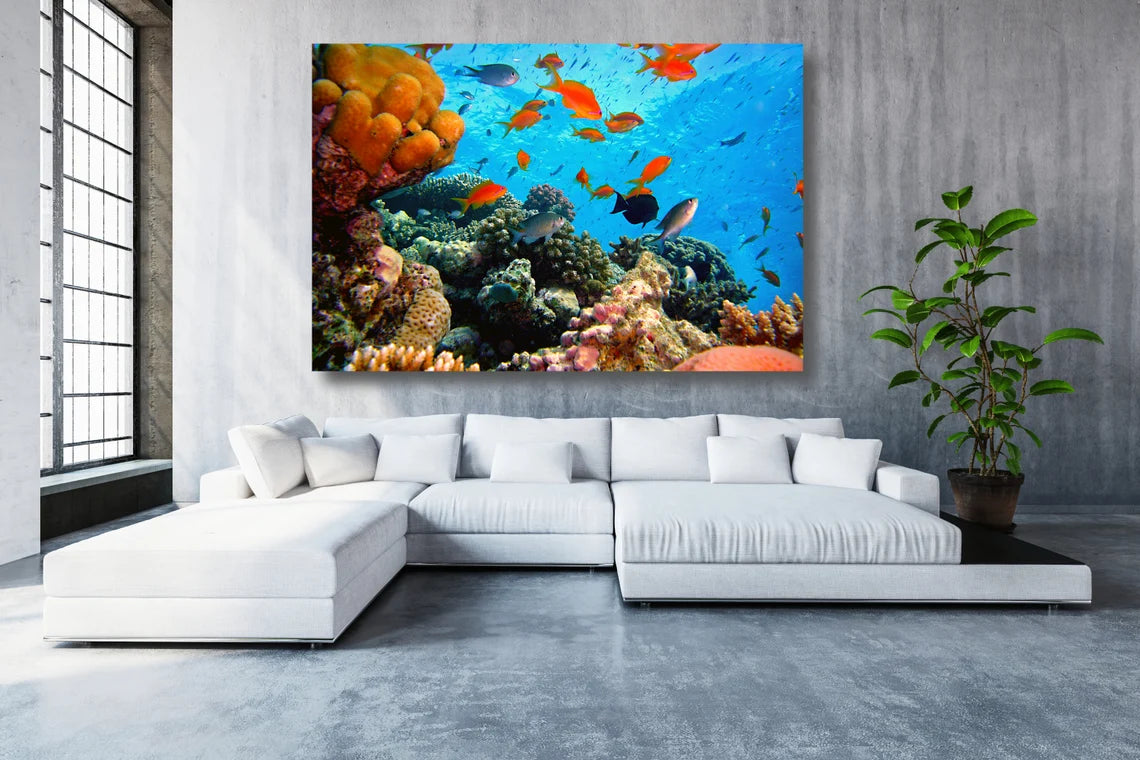 Coral Reef Acrylic Glass Print Tempered Glass Wall Art 100% Made in Australia Ready to Hang