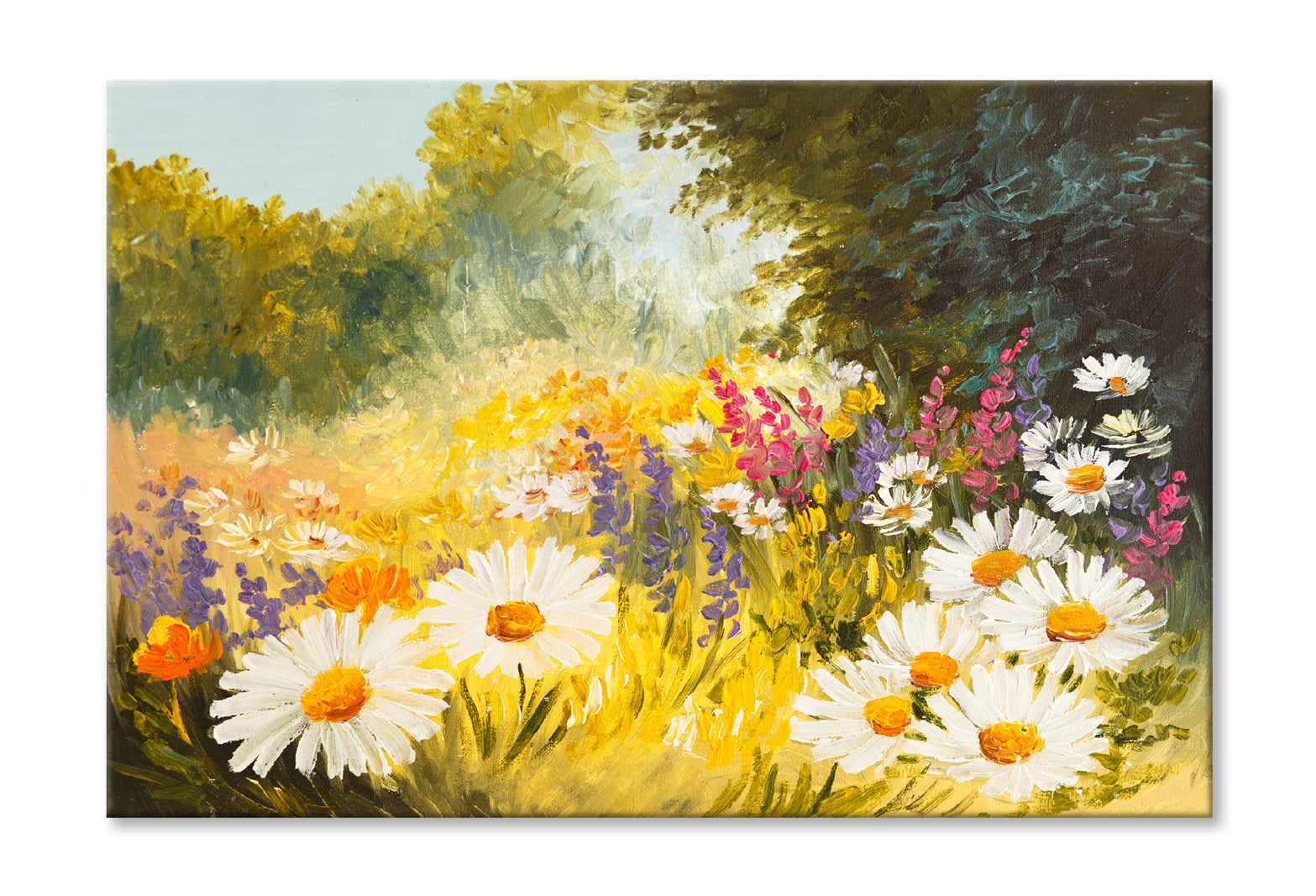 Field Of Daisies Green Forest Oil Painting Limited Edition High Quality Print Stretched Canvas None