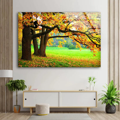 Autumn Trees on Garden UV Direct Aluminum Print Australian Made Quality