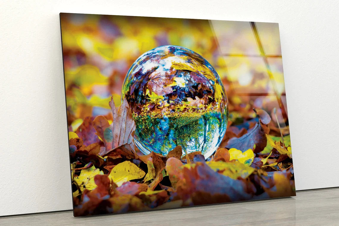 Glass Ball on Leaves UV Direct Aluminum Print Australian Made Quality