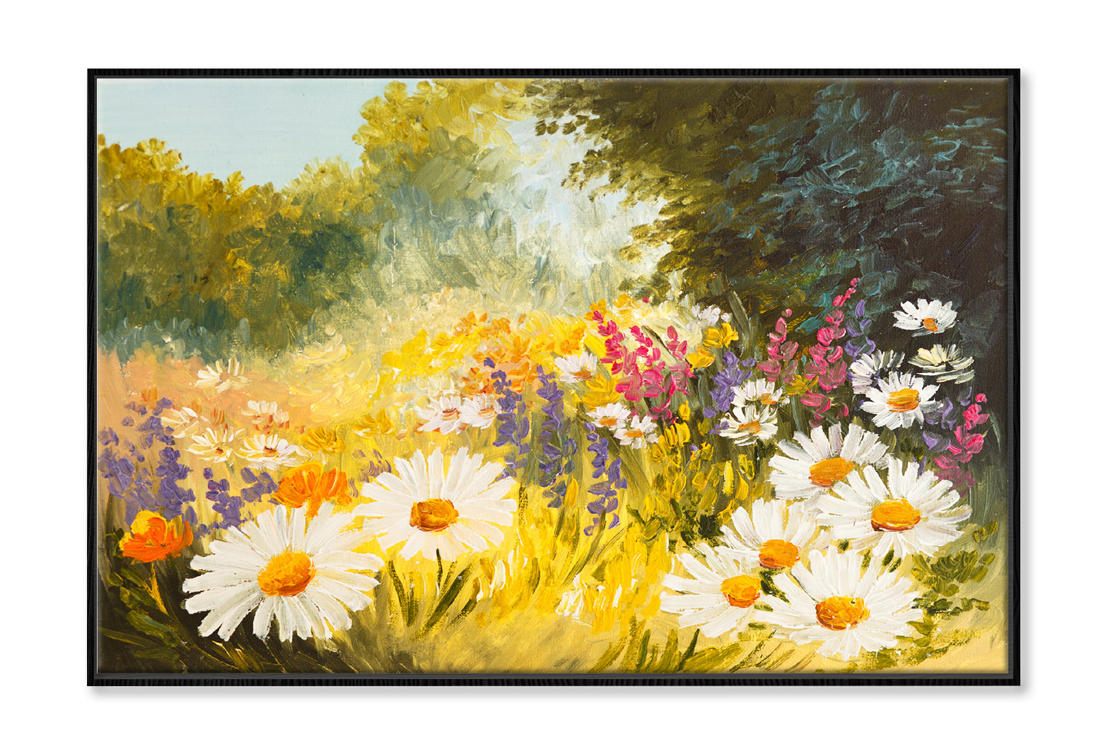 Field Of Daisies Green Forest Oil Painting Limited Edition High Quality Print Canvas Box Framed Black