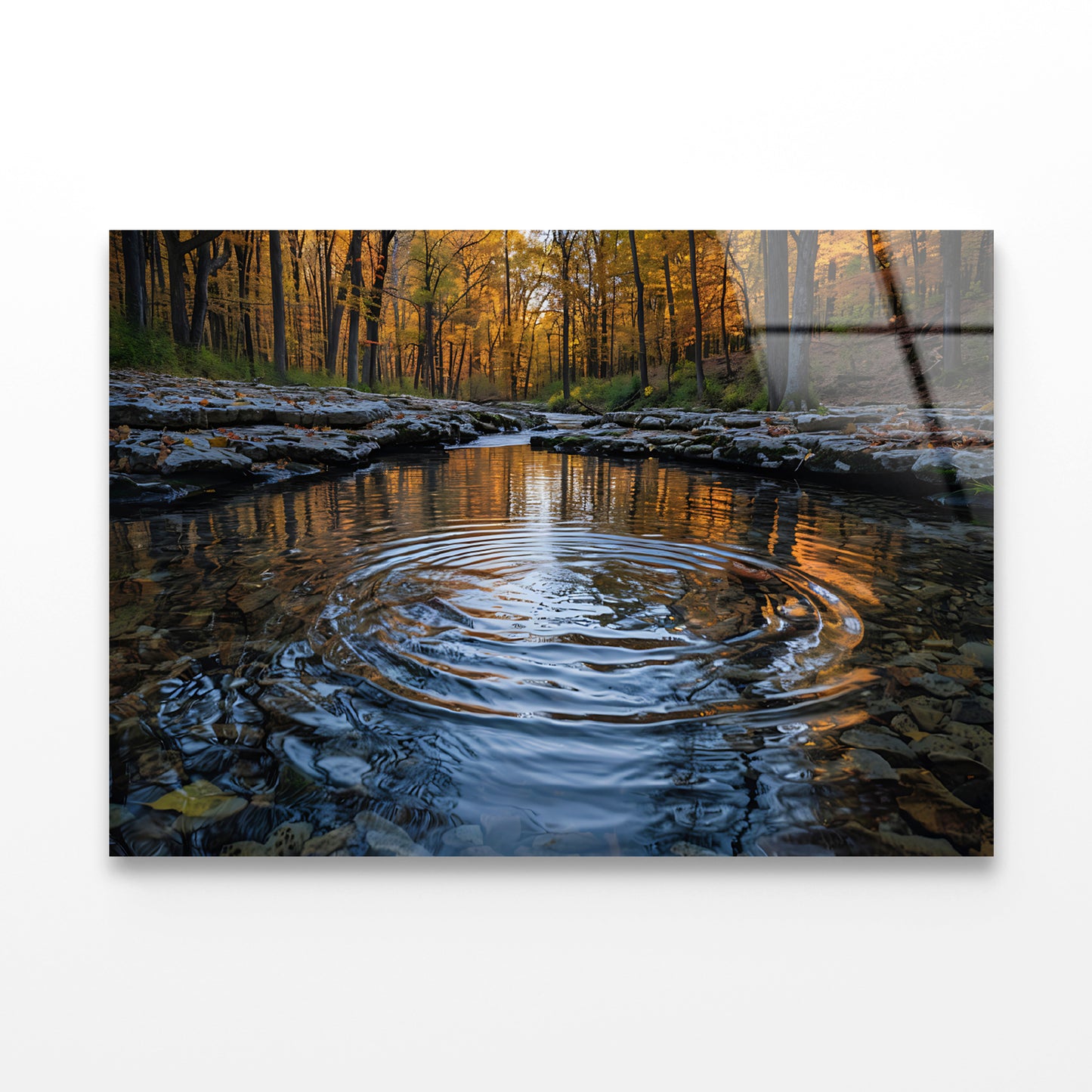 Autumn in the Woods Acrylic Glass Print Tempered Glass Wall Art 100% Made in Australia Ready to Hang