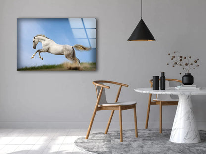 Running White Horse UV Direct Aluminum Print Australian Made Quality