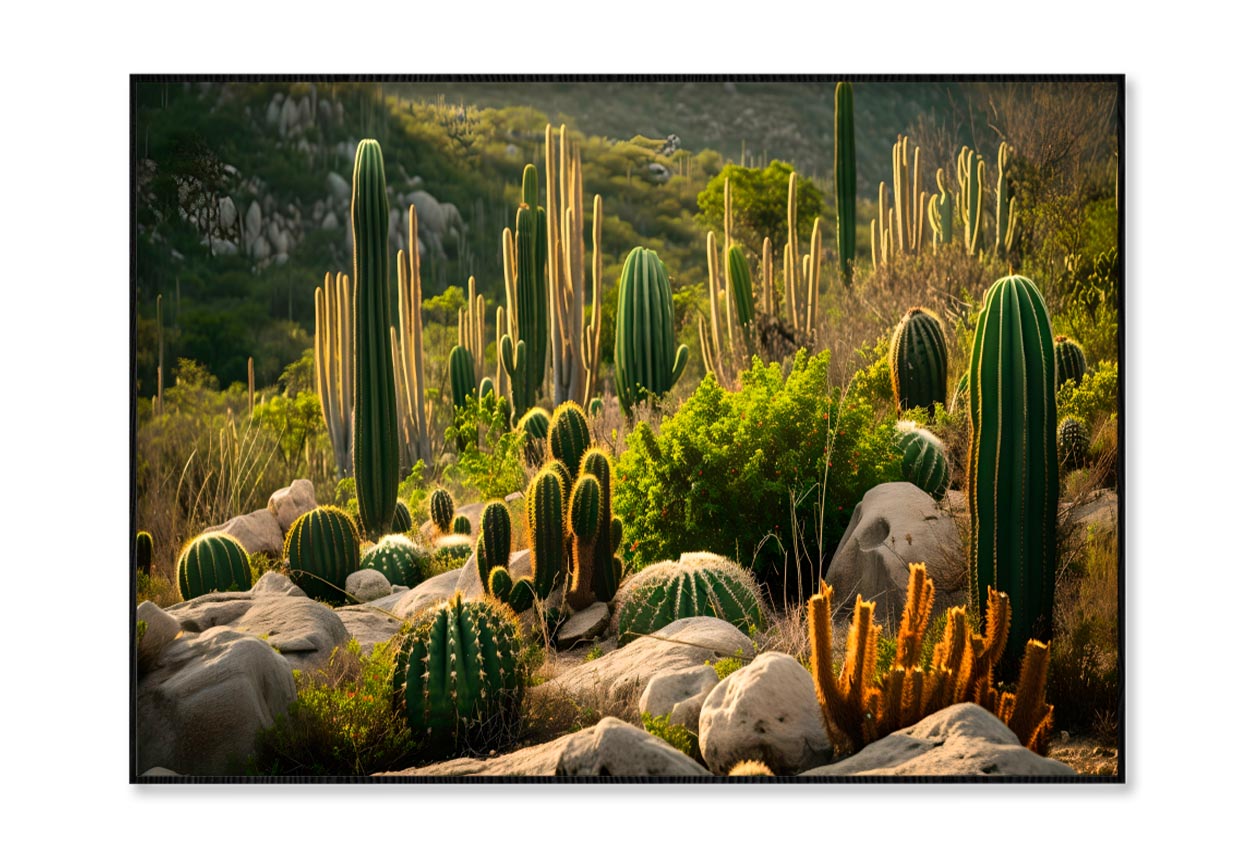 Captivating Landscape of Cacti in Mexico Home Decor Premium Quality Poster Print Choose Your Sizes