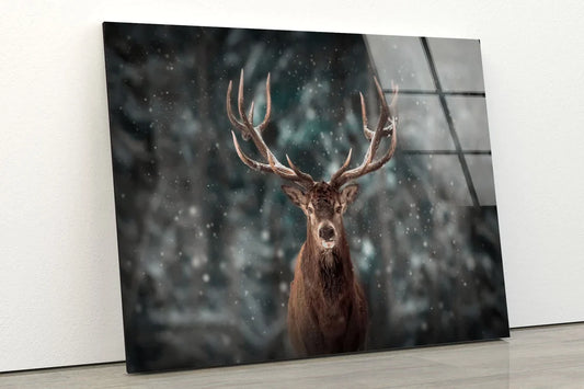 Winter Deer Closeup UV Direct Aluminum Print Australian Made Quality