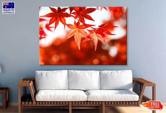 Red Autimn Leaves Closeup View Wall Art Decor 100% Australian Made