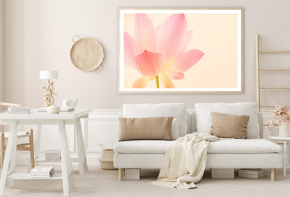 Pink Flower With a White Background Home Decor Premium Quality Poster Print Choose Your Sizes