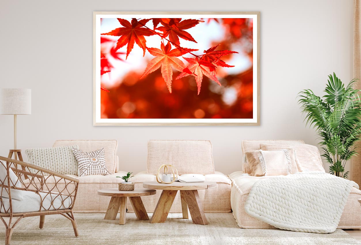 Red Autumn Leaves View Home Decor Premium Quality Poster Print Choose Your Sizes