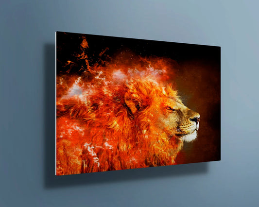 Large Lion with fire UV Direct Aluminum Print Australian Made Quality