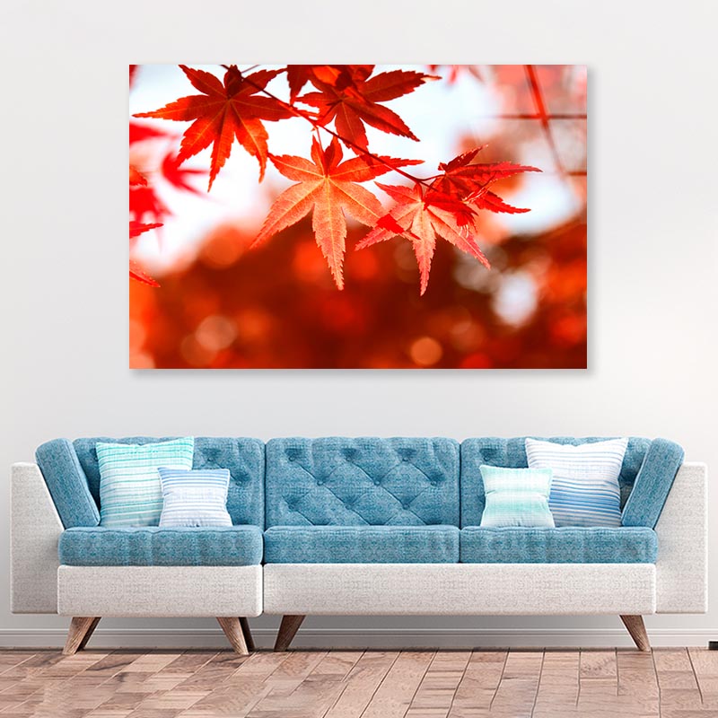 Autumn Leaves Closeup View Acrylic Glass Print Tempered Glass Wall Art 100% Made in Australia Ready to Hang