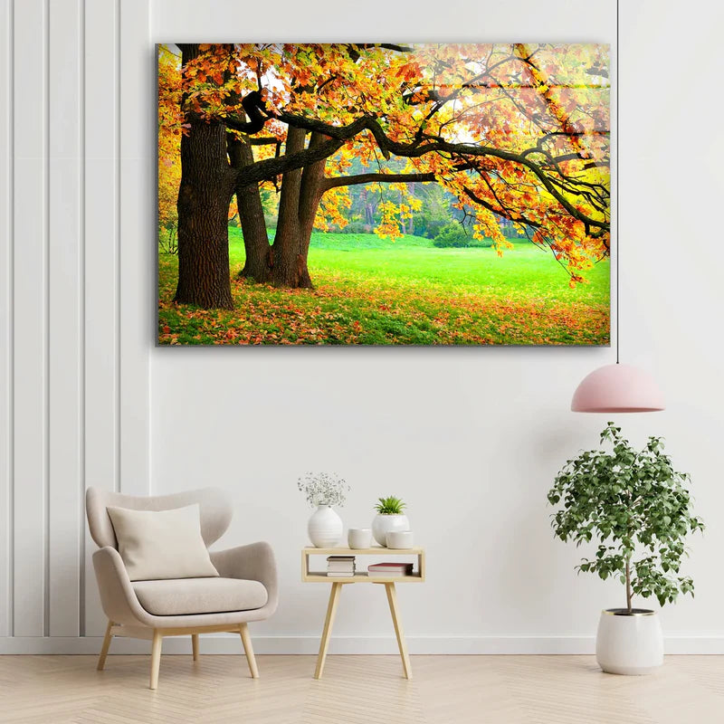 Autumn Trees on Garden UV Direct Aluminum Print Australian Made Quality