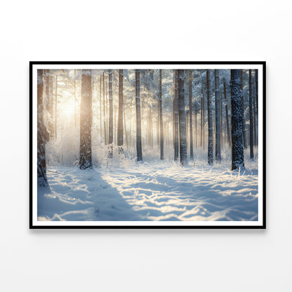 Snowy Forest with Trees Home Decor Premium Quality Poster Print Choose Your Sizes