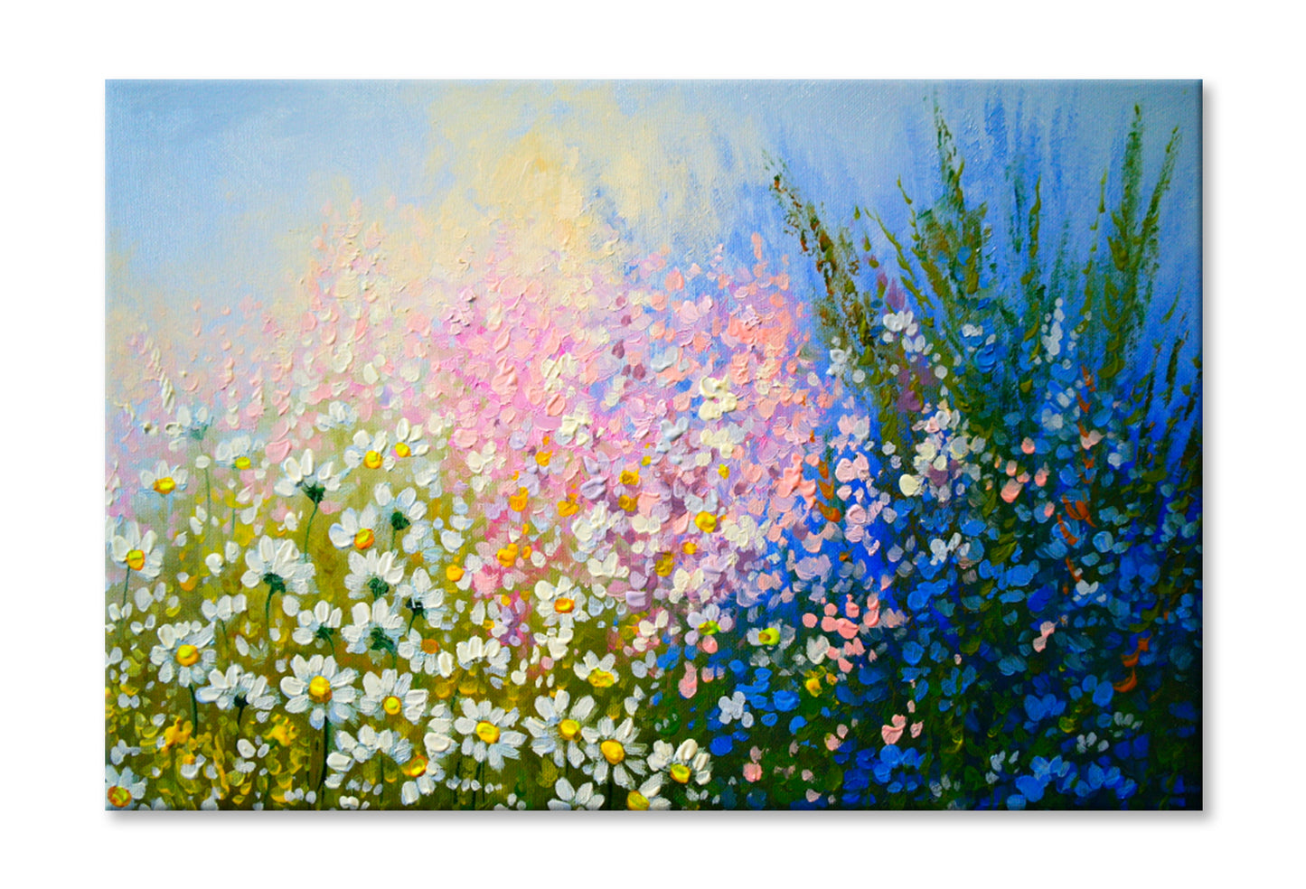 Colorful Flowers Oil Painting Wall Art Limited Edition High Quality Print Stretched Canvas None