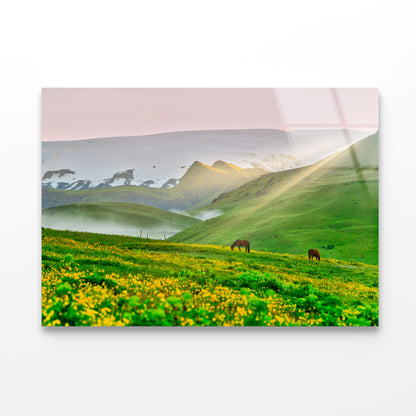 Two Horses Surrounded By Grasslands in Iceland Acrylic Glass Print Tempered Glass Wall Art 100% Made in Australia Ready to Hang