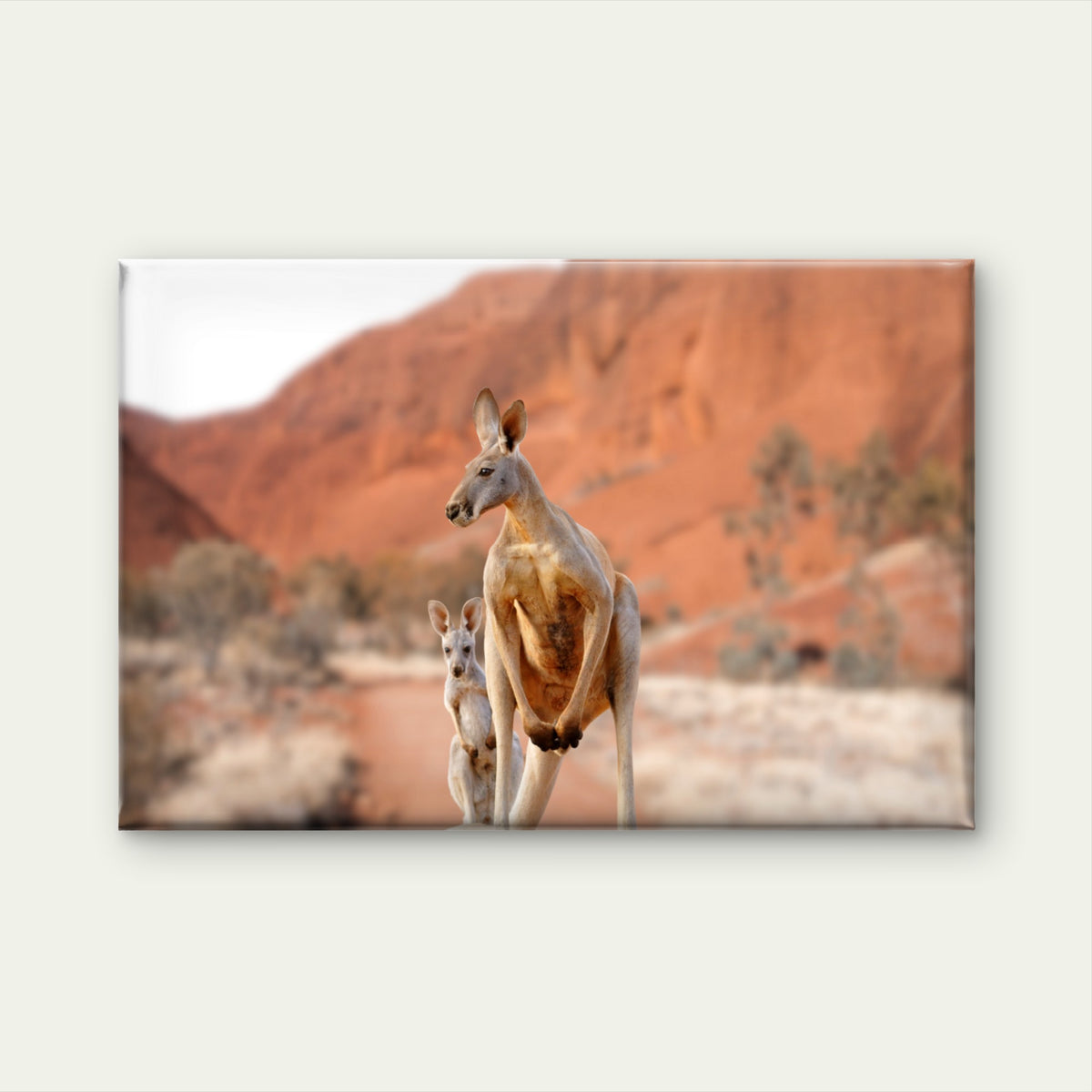 A Red Kangaroo Mother And Joey Exploring Outback Australia Wall Art Decor 100% Australian Made