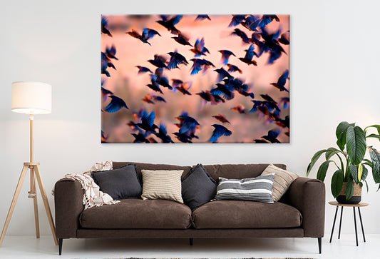 Flying Birds Silhouettes Sunset  Wall Art Decor 100% Australian Made