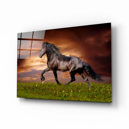 Horse in Grass Field UV Direct Aluminum Print Australian Made Quality