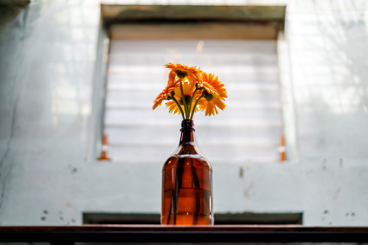 Gerbera Flower Blooming In Vase Bottle Home Decor Premium Quality Poster Print Choose Your Sizes