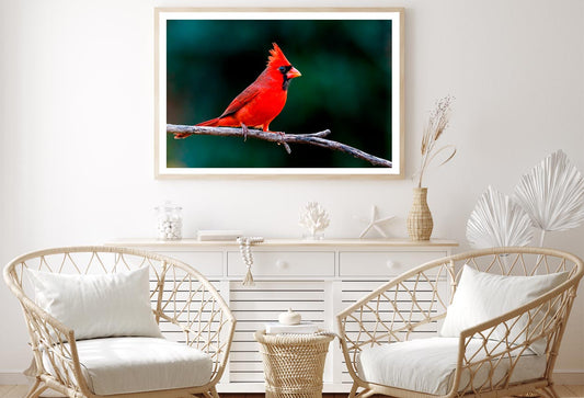 Northern Cardinal Home Decor Premium Quality Poster Print Choose Your Sizes