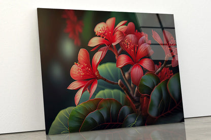 Red Tropical Flowers Acrylic Glass Print Tempered Glass Wall Art 100% Made in Australia Ready to Hang