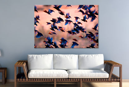 Flying Birds Silhouettes Sunset  Wall Art Decor 100% Australian Made