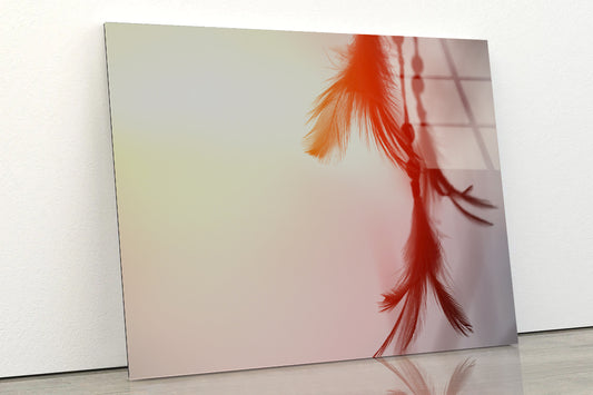 Red Color Feather Dream Catcher Acrylic Glass Print Tempered Glass Wall Art 100% Made in Australia Ready to Hang