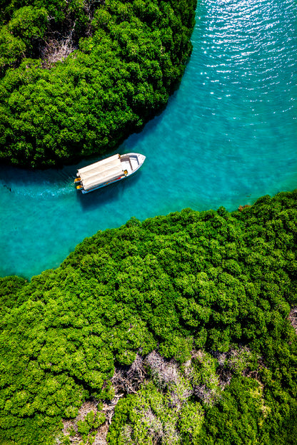 Mangrove Forest Farasan Island Glass Framed Wall Art, Ready to Hang Quality Print