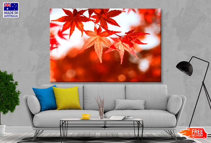 Red Autimn Leaves Closeup View Wall Art Decor 100% Australian Made