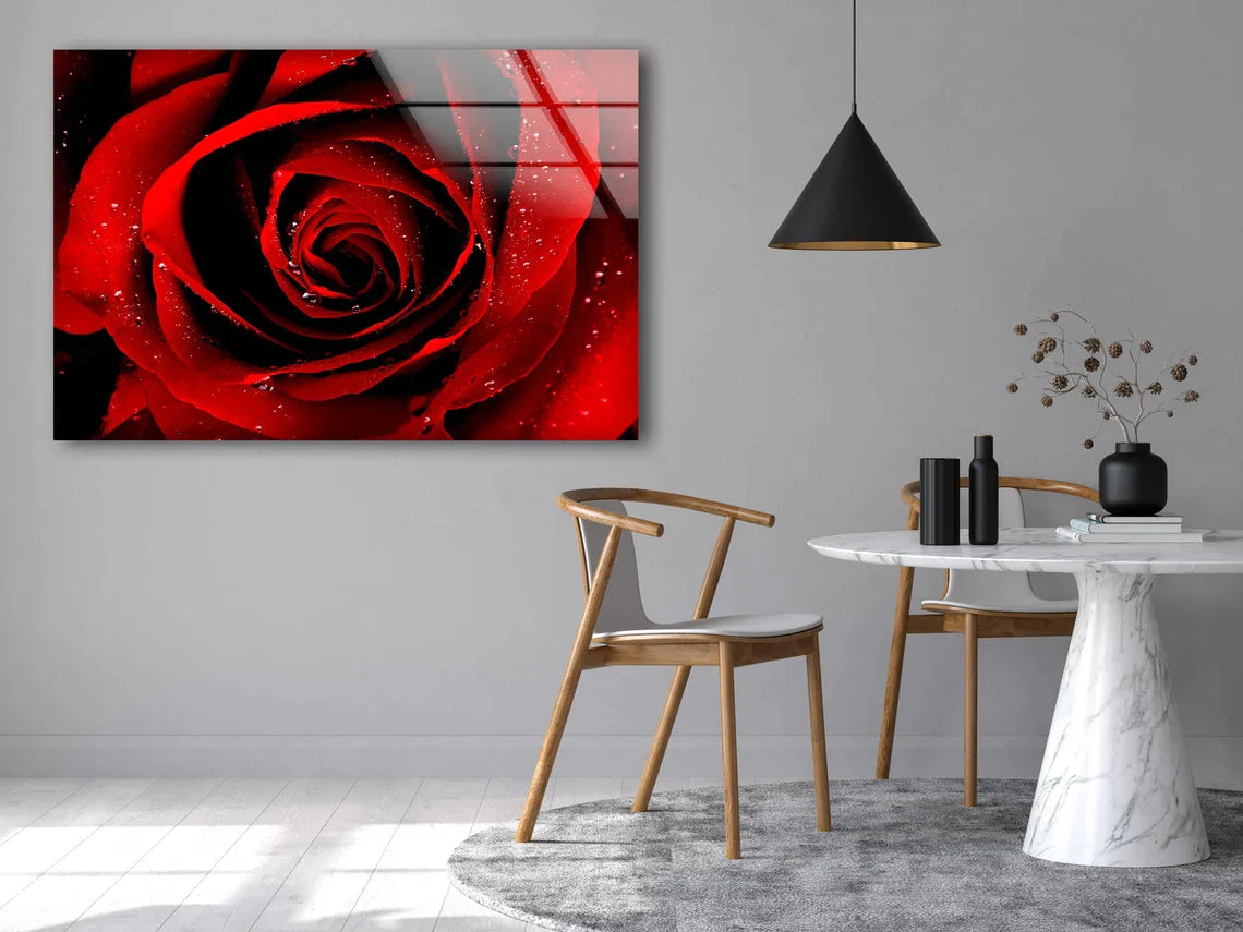 Red Rose Closeup View UV Direct Aluminum Print Australian Made Quality