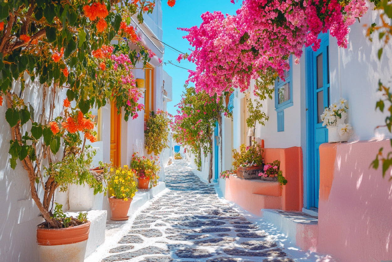 Beautiful Street with Flowers in Greece Home Decor Premium Quality Poster Print Choose Your Sizes