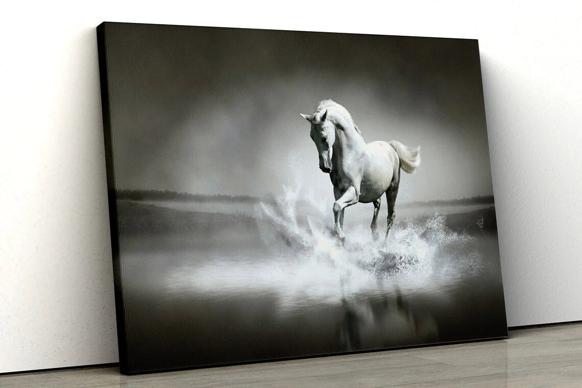 Running Horse B&W UV Direct Aluminum Print Australian Made Quality