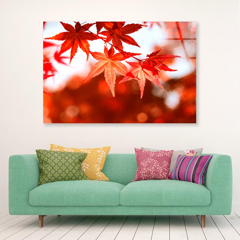 Autumn Leaves Closeup View Acrylic Glass Print Tempered Glass Wall Art 100% Made in Australia Ready to Hang