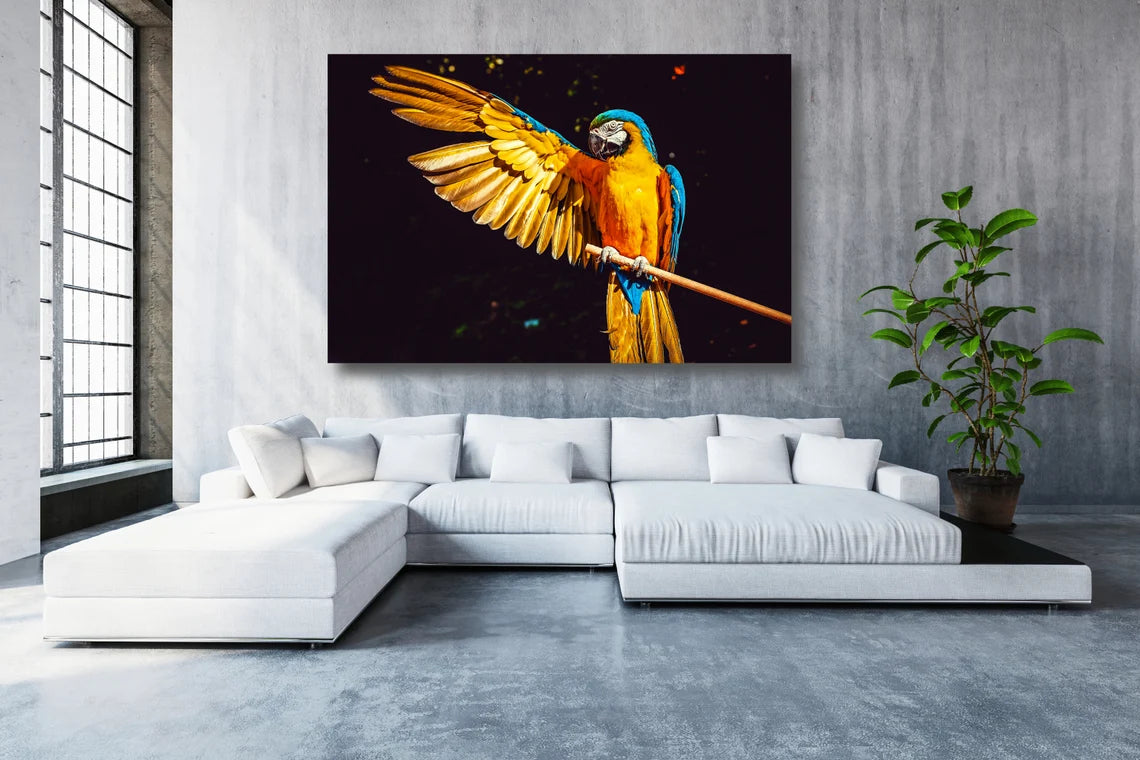 Yellow Parrot Wall Art UV Direct Aluminum Print Australian Made Quality